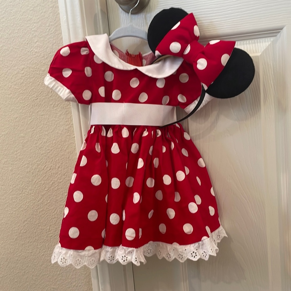 Minnie Mouse Costume